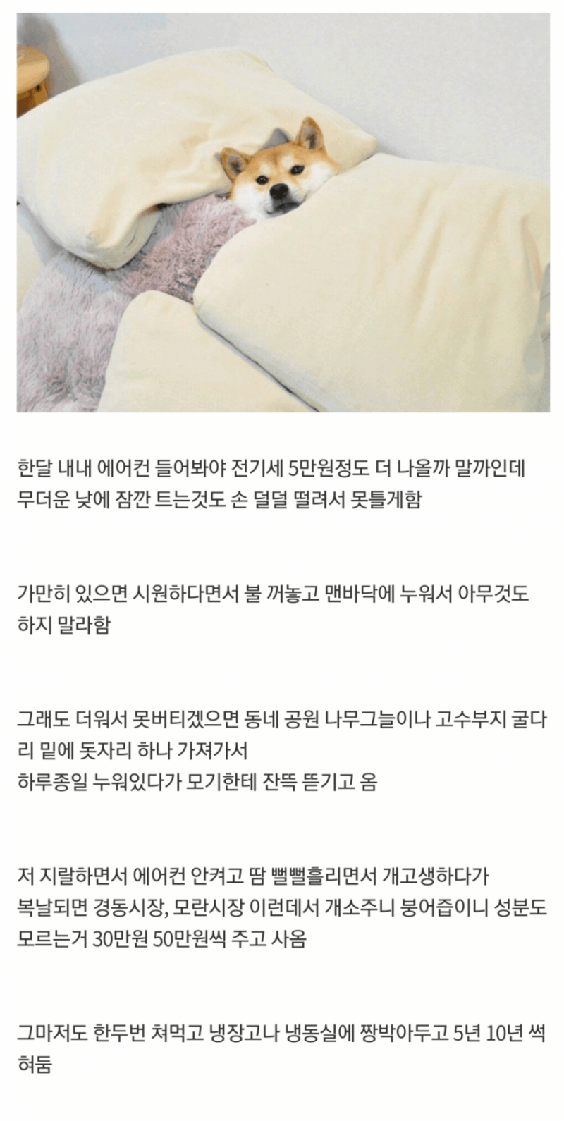 흙수저 여름 특징