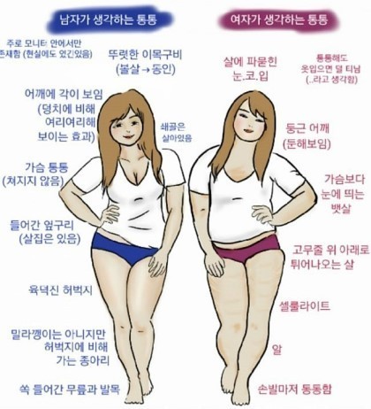 통통에 대한 성별 차이