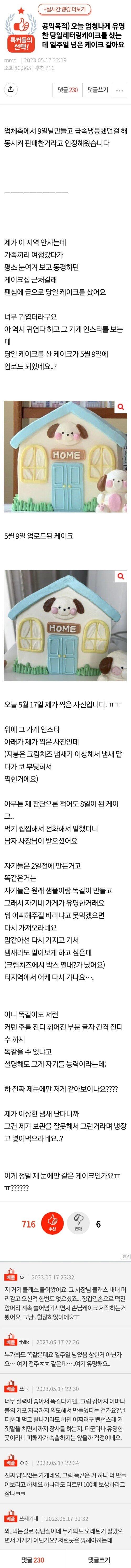 판에서 난리난 케이크집.jpg