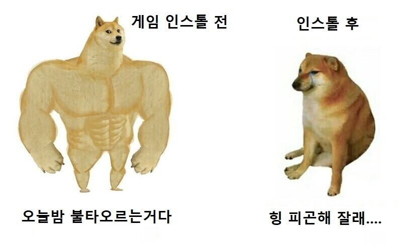 디아4 구매한 직장인들의 미래