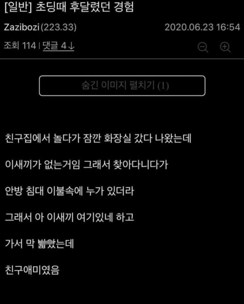 초딩 때 후달렸던 경험을 한 디시인