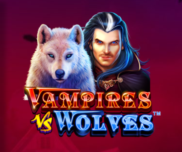 슬롯게임리뷰 뱀파이어 vs 늑대 Vampires vs Wolves