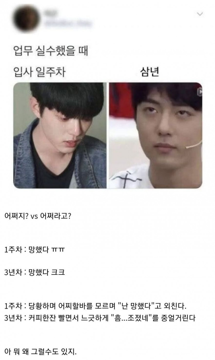 업무 실수했을 때