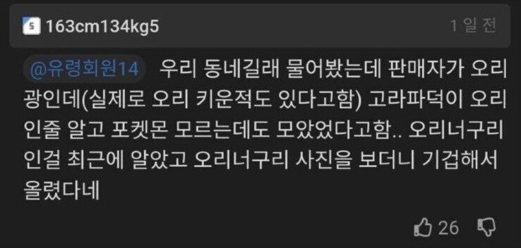 당근마켓 고라파덕 대량 판매하게 된 사연....jpg