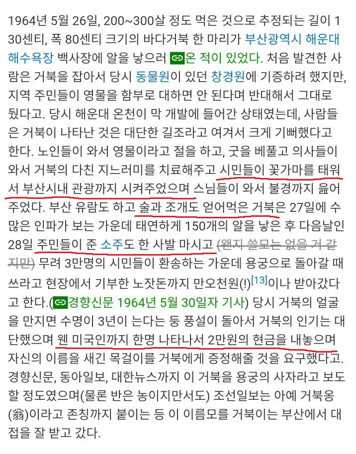 전설의 부산 풀코스