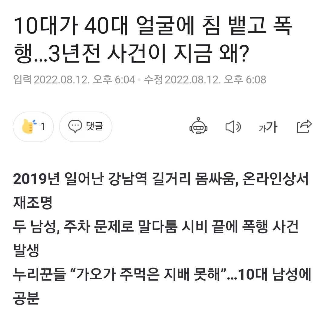 강남역 길거리 몸싸움 영상의 진실