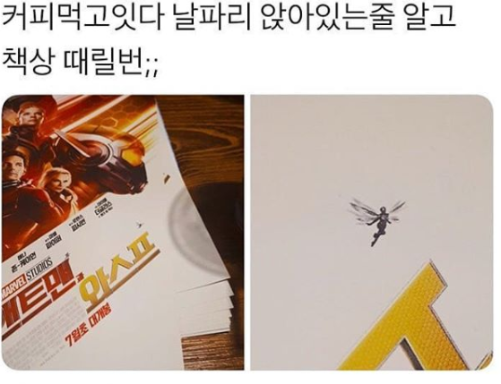 오해할만 함.