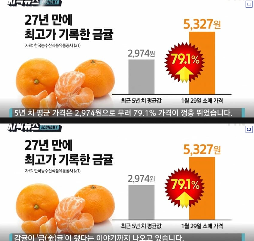 마트 갔다가 두눈을 의심케한 귤 가격