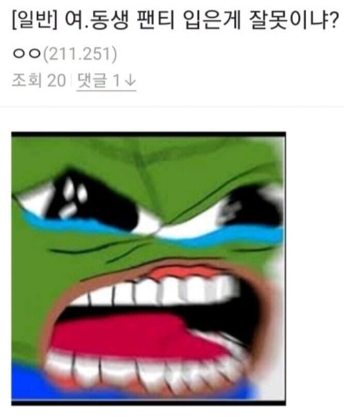 팬티 입는게 잘못이냐