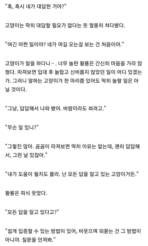 고양이는 모든 답을 알고 있다