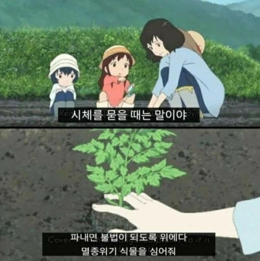인생 살 때 의외의 꿀팁