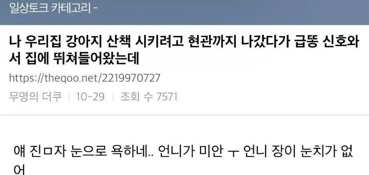 눈으로 쌍욕하는 강아지