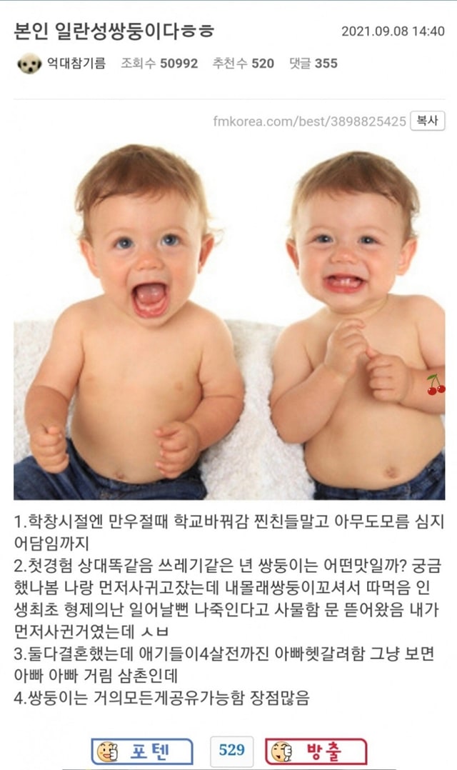 일란성쌍둥이가 좋은점