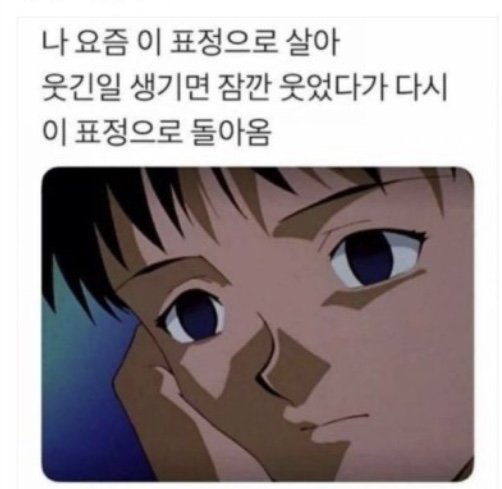 10000% 공감 짤