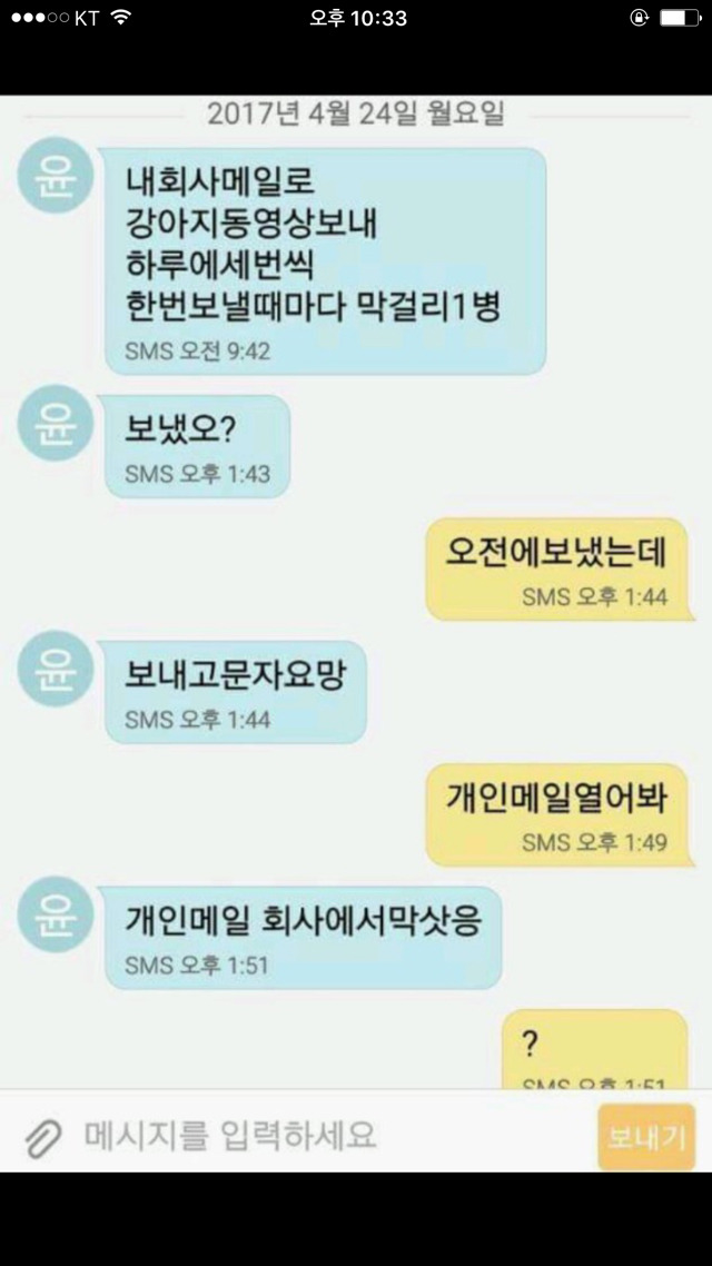 강아지 사진보내 제발