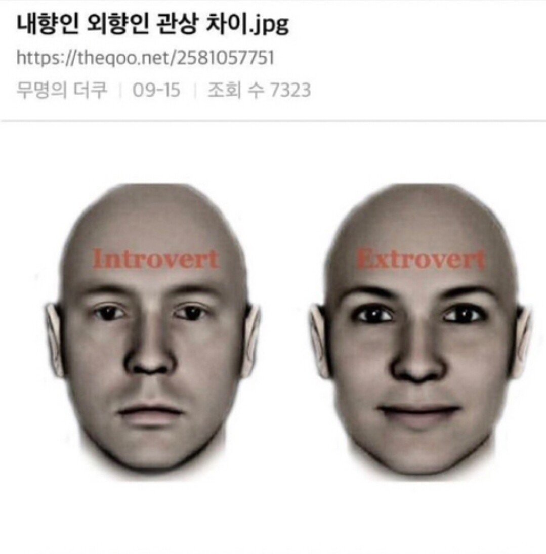 내향인 외향인 관상차이ㄷㄷㄷ.jpg