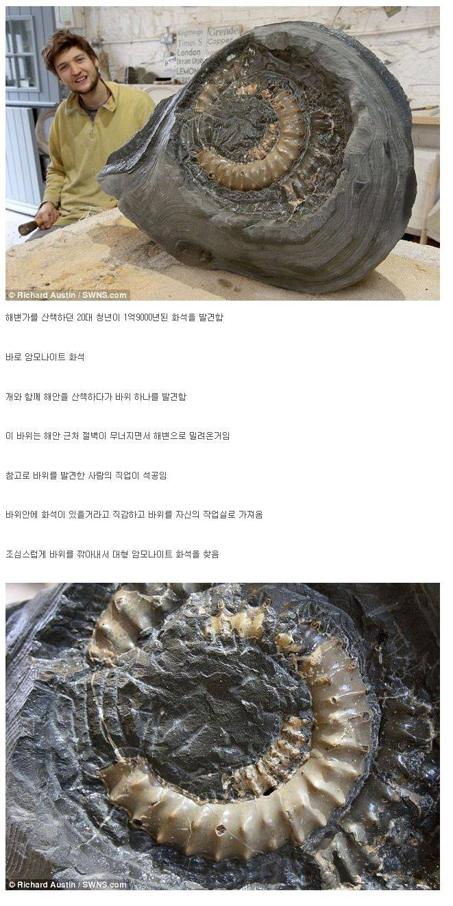 개랑 산책하다 발견한 화석 근황.JPG