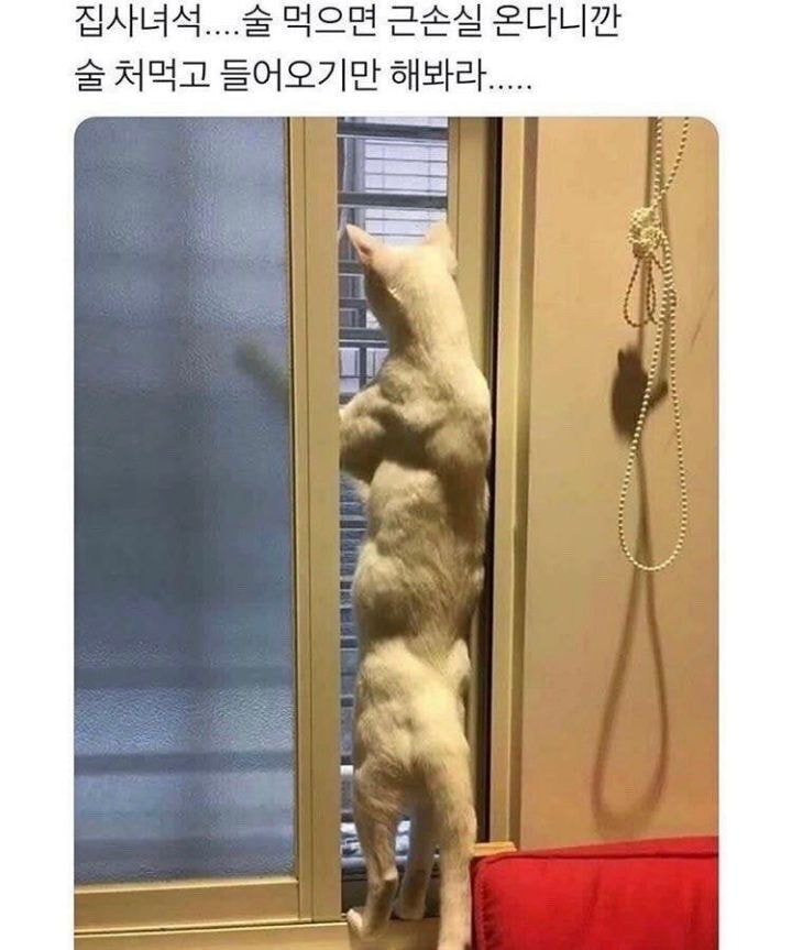 집사가 늦게 들어와서 걱정 중인 고양이