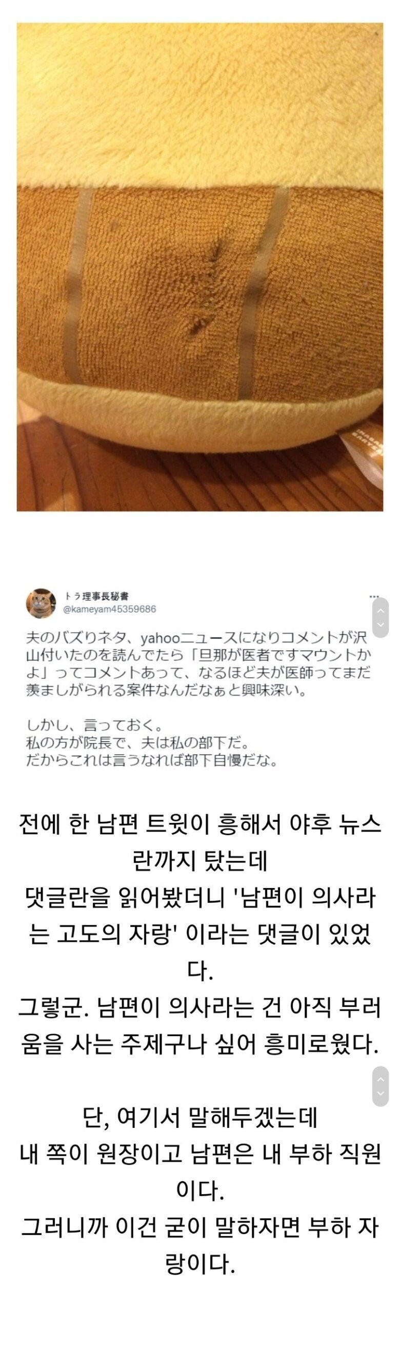 찢어진 인형 수술해주는 외과의사 남편