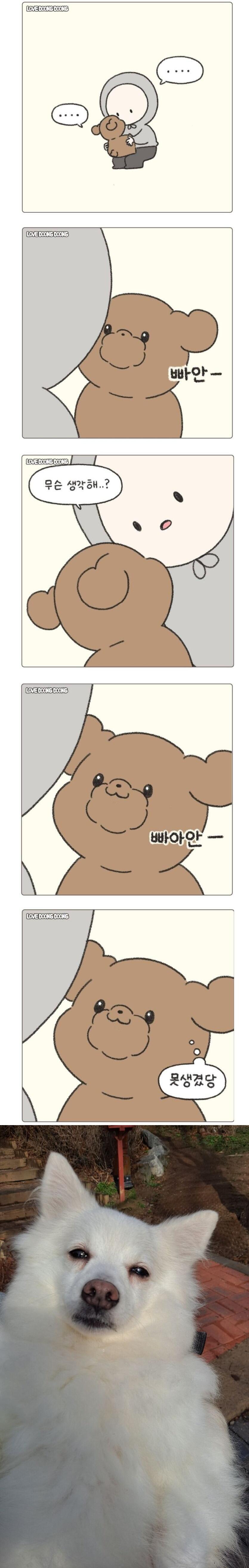 반려동물들은 날 보면서 무슨 생각을 할까？