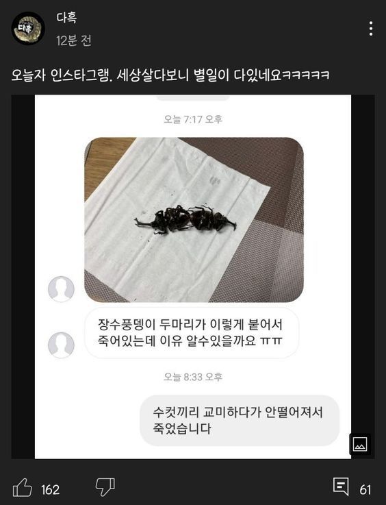 곤충 유튜버도 난생 처음 본 상황
