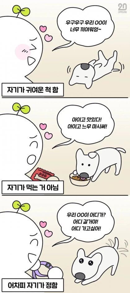 강아지 키우는사람들 특징