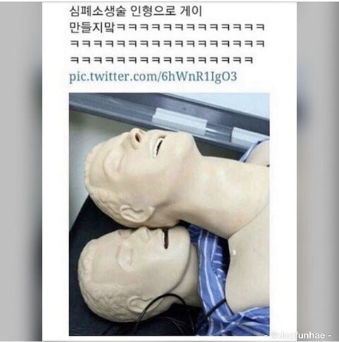 심폐소생인형 겹쳐놓으면 안되는 이유