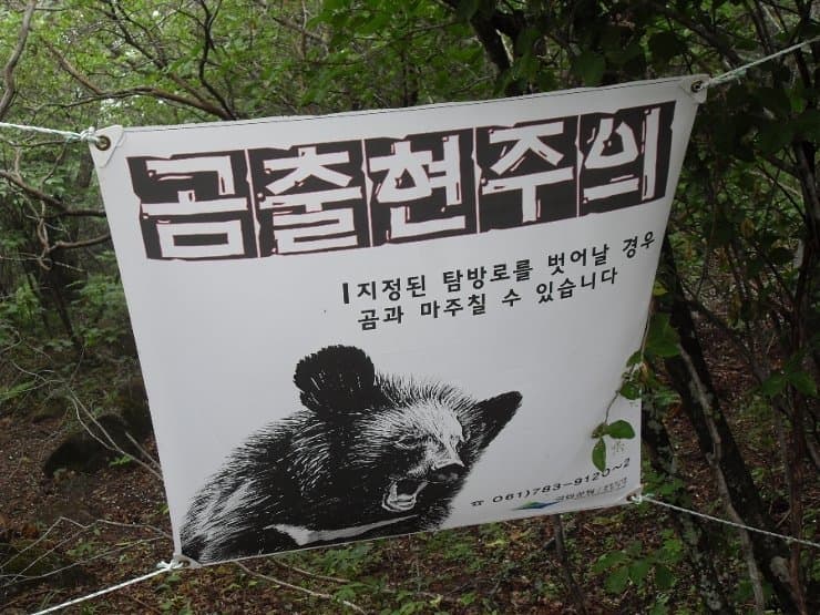 만화같아지는 대한민국의 국립공원