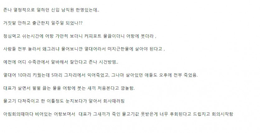 중소기업 갤러리 흔한 물고기 전문가