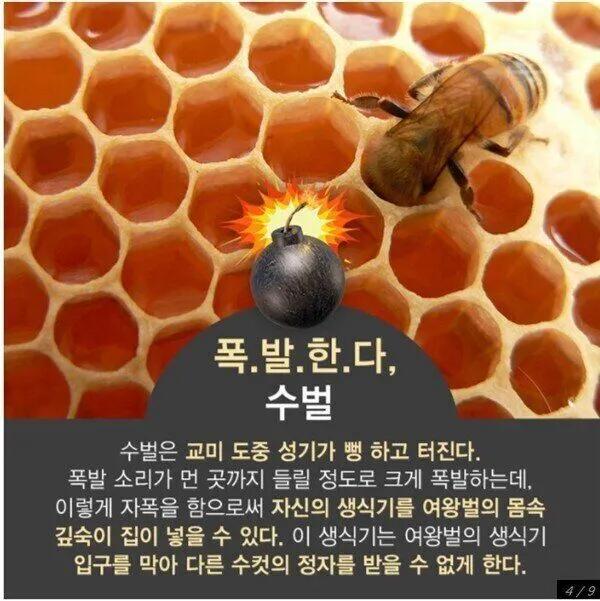 의외로 뻥하고 터지는 것