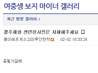 갤주제와 관련된 사진은 자제해달라는 마이너갤러리