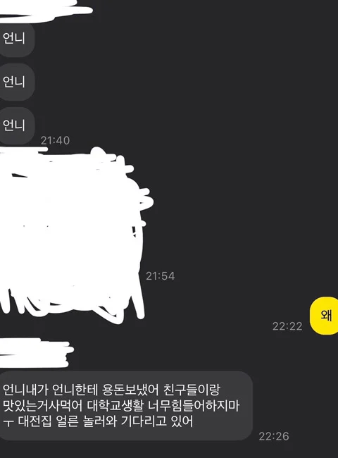 힘들어하는 언니한테 43000원 보낸 동생 카톡 뒷내용