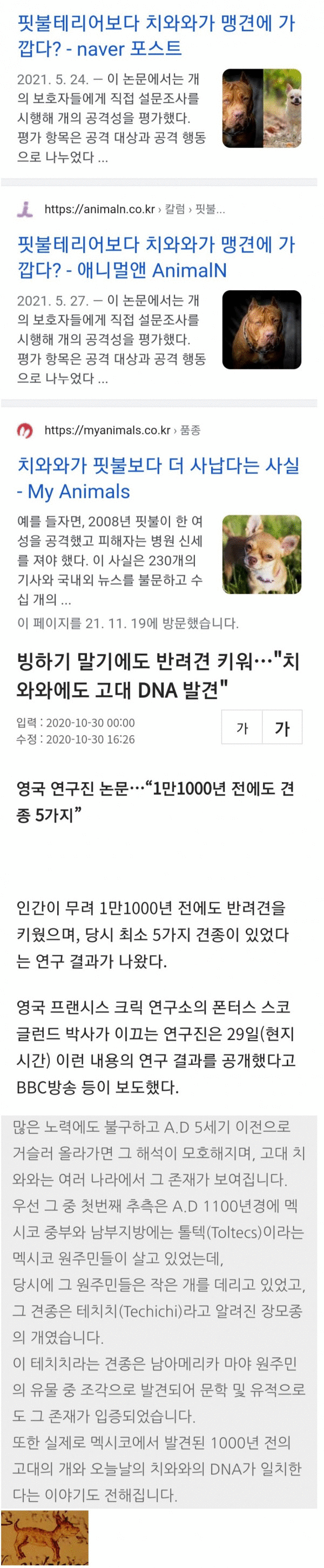 의외로 근본있는 견종