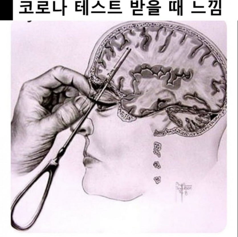 코로나 테스트받을때 느낌
