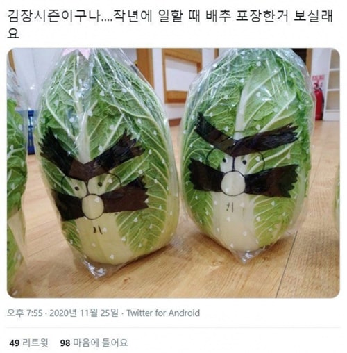 포장지