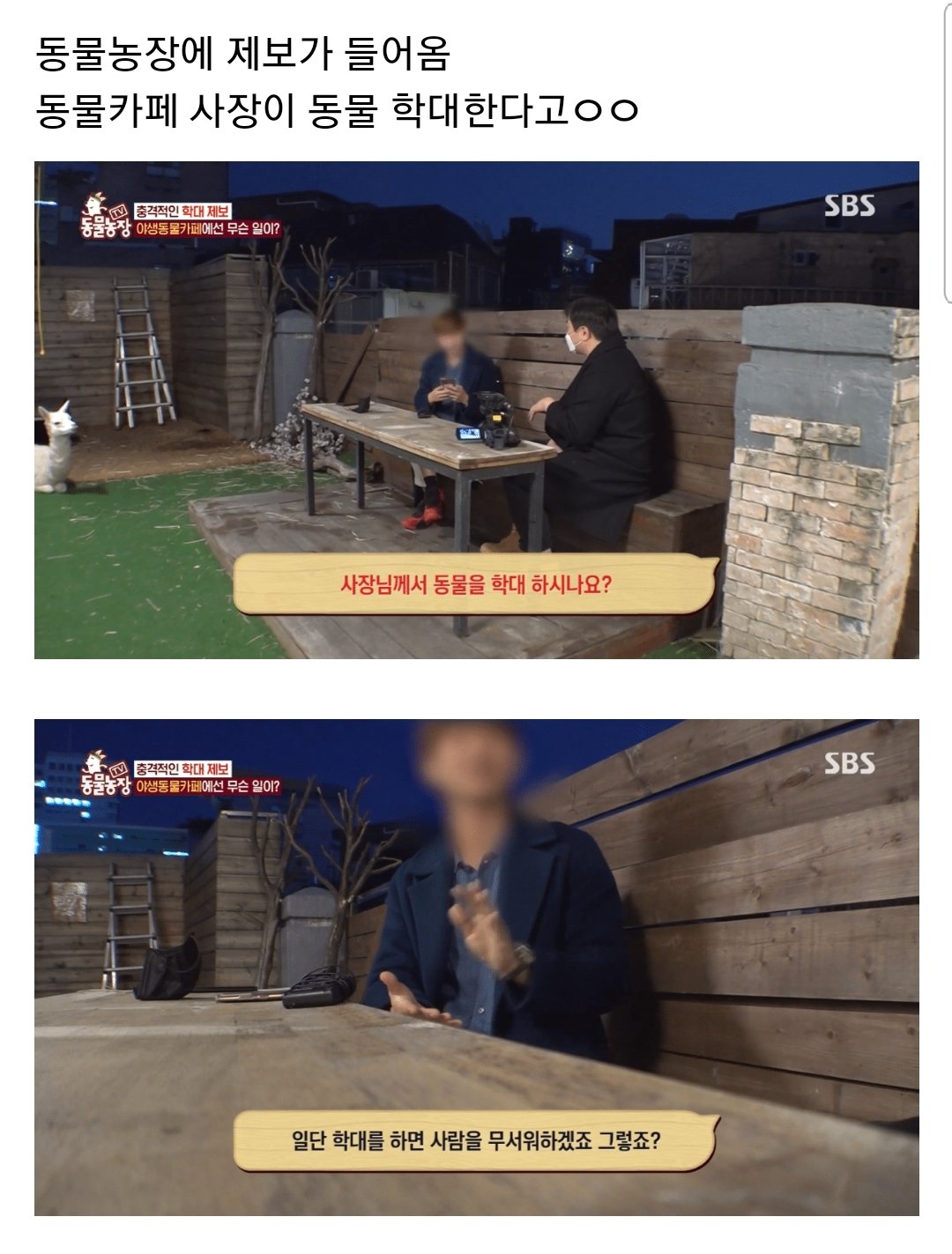 포텐 수달 동물학대 보고 잊지 말아야할 최근사건