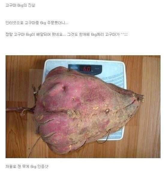 고구마를 6kg 단위로 판 이유