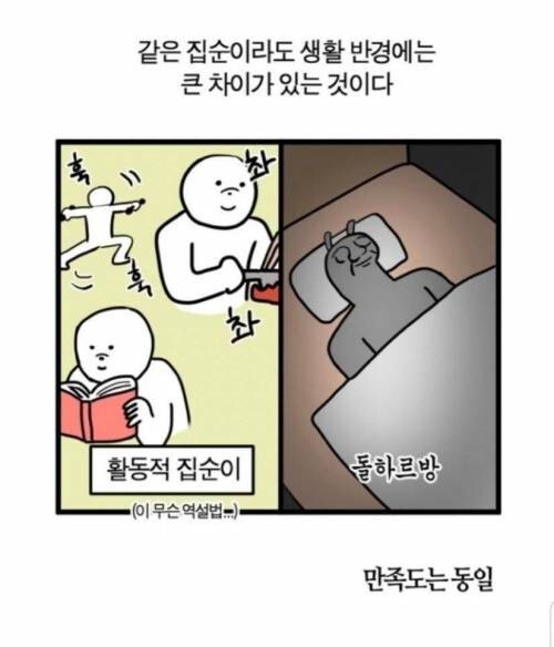 집돌이 집순이의 등급