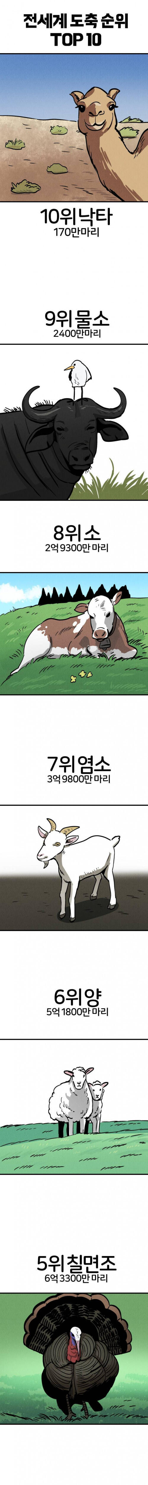 전세계 동물 도축순위 탑10