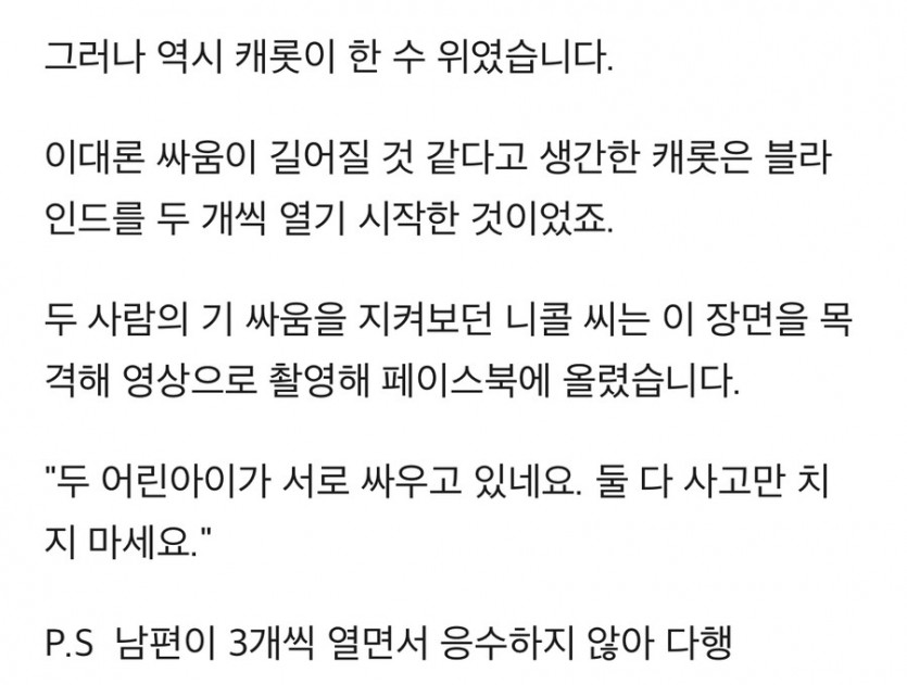 고양이와 남편의 기싸움