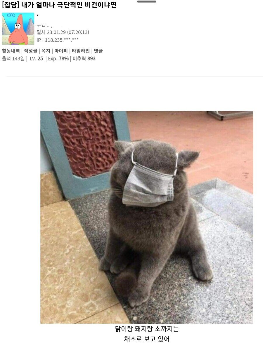 극단적인 비건