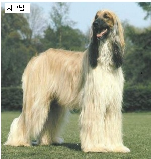 개표정으로본 회사