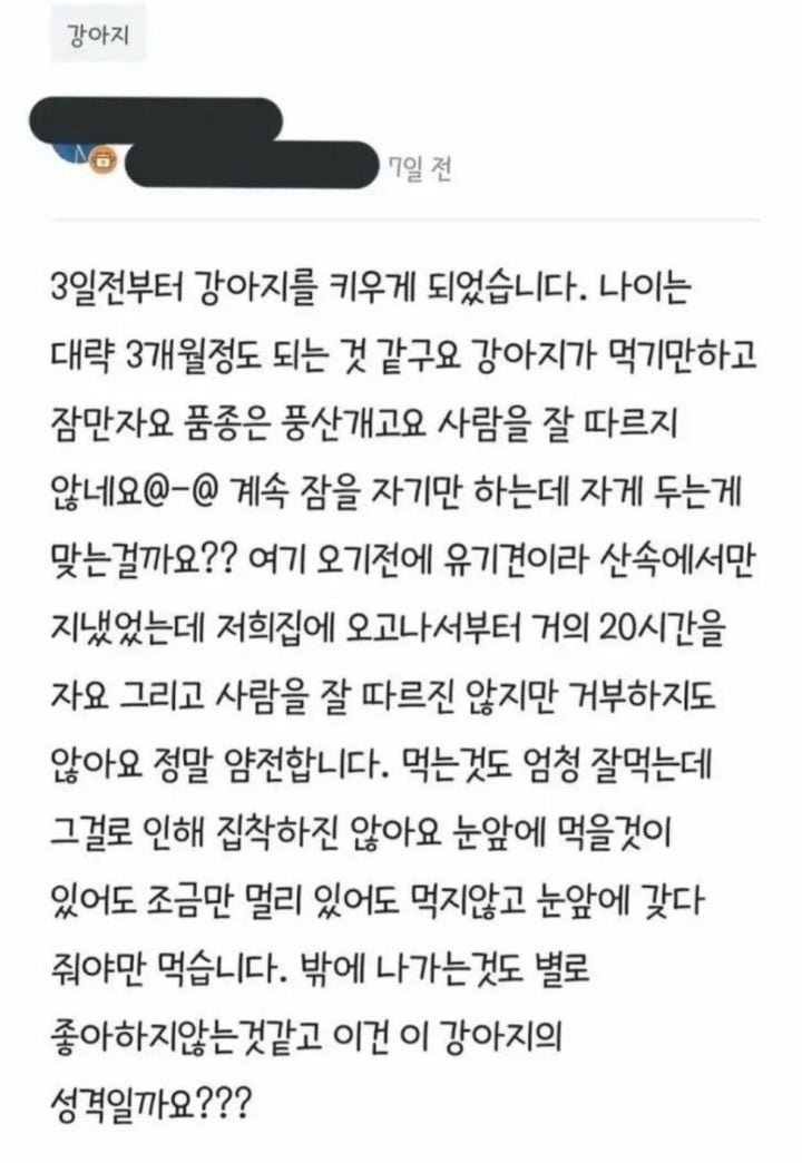 강아지가 너무 자요 ㅠㅠ