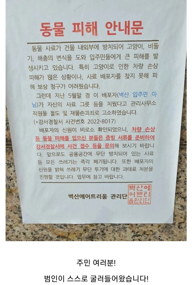 자기 무덤을 판 캣맘 ㅋㅋㅋ.jpg