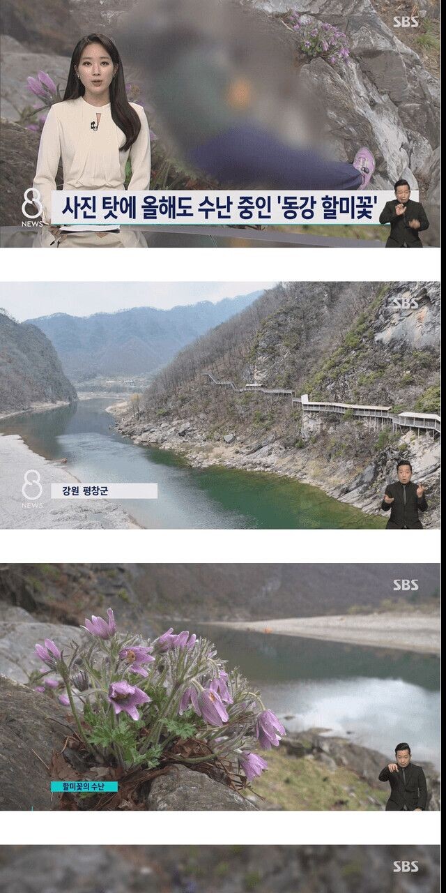 이쯤 되면 정신병 아닌가?