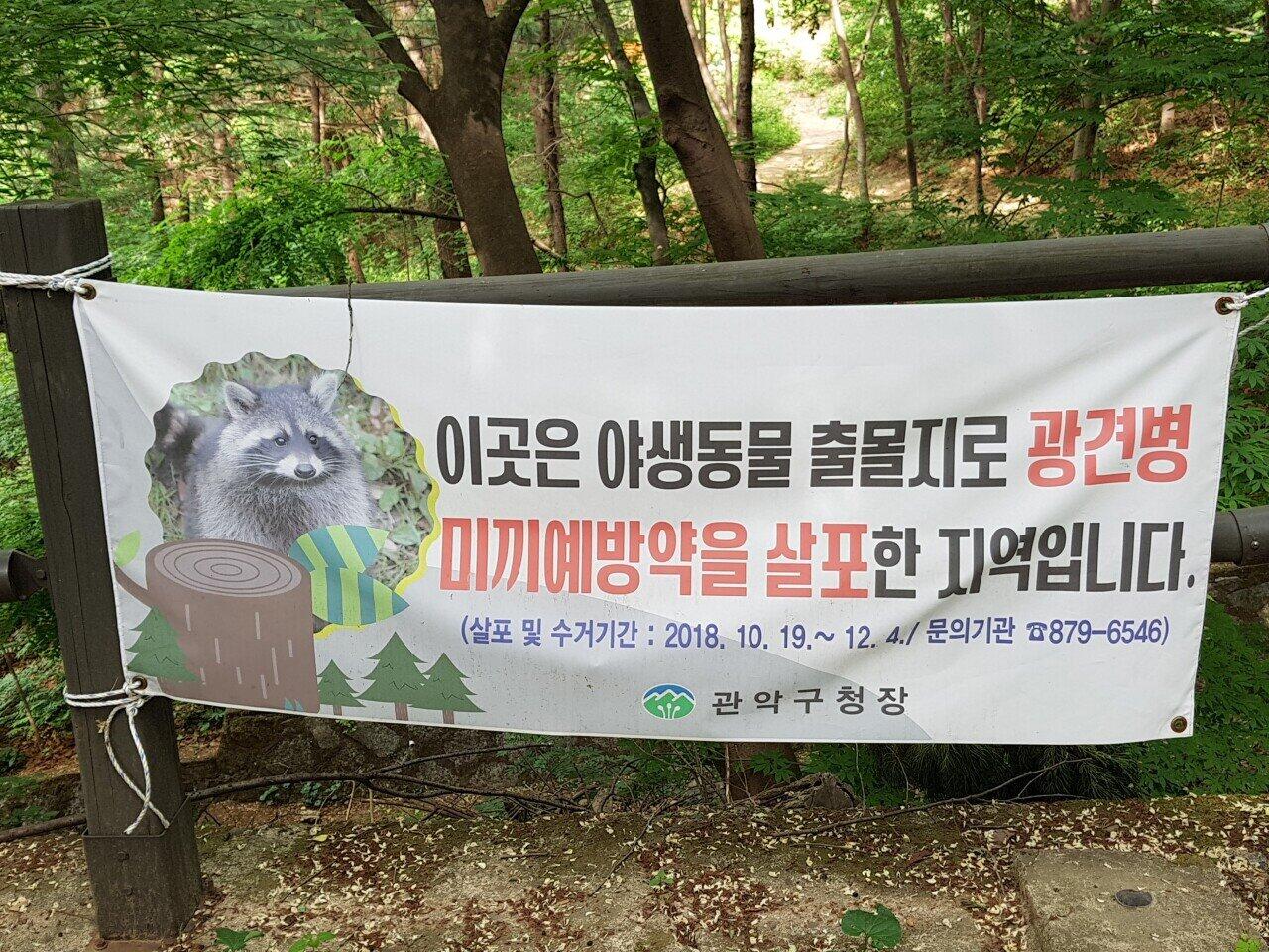 너구리 주의보에 너굴맨 박아넣은 구청 공무원.jpg