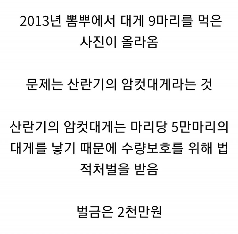 2천만원짜리 대게 인증샷