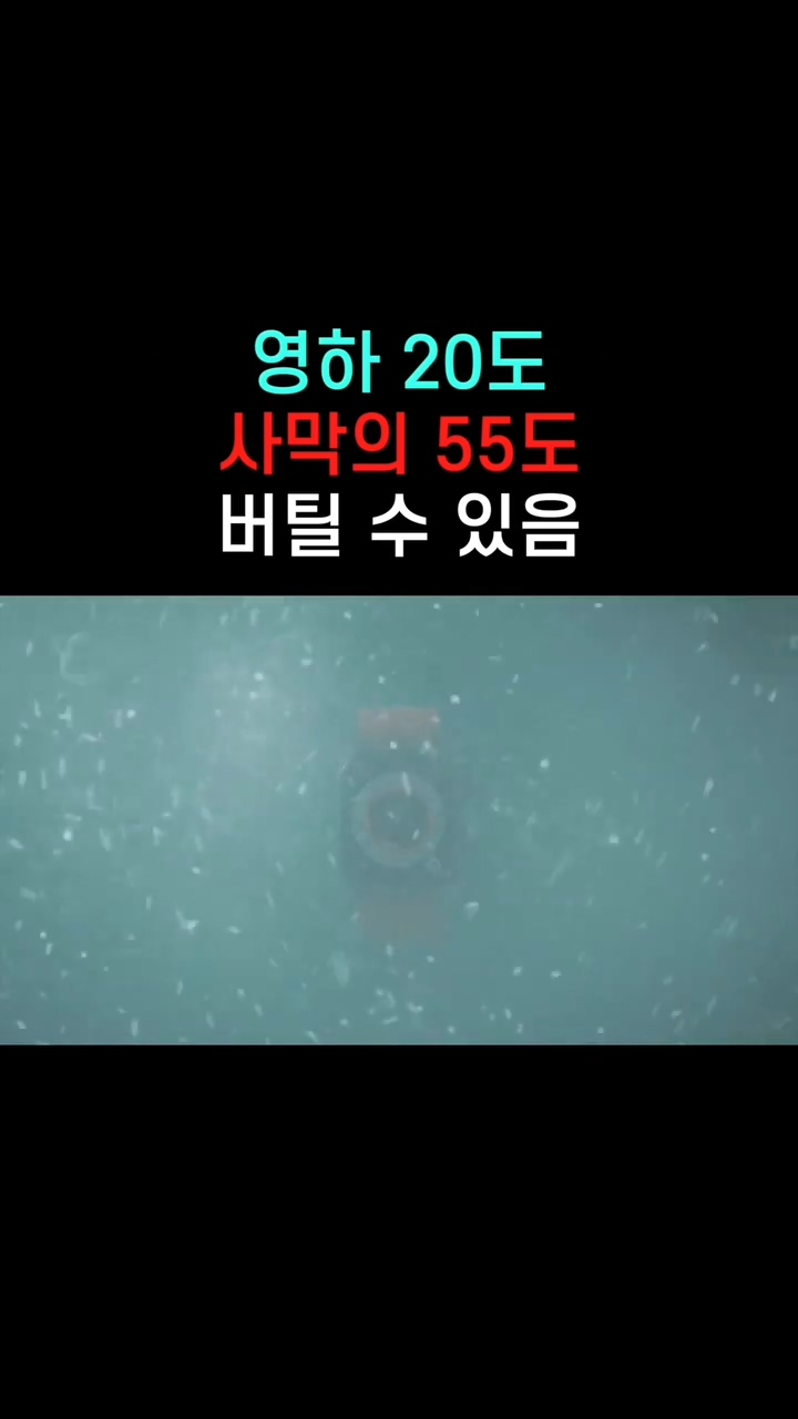 애플워치 울트라 기능(스압)