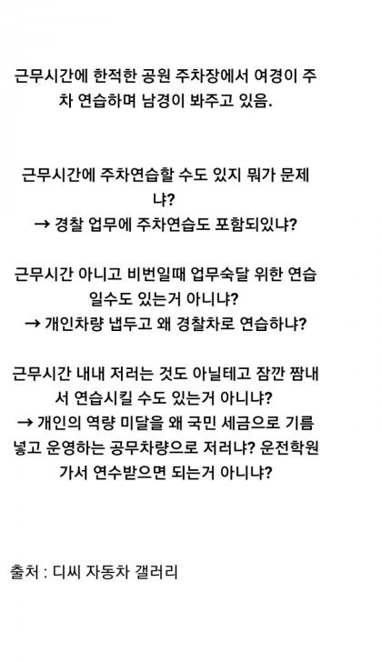 경찰차로 주차연습하는 치안조무사.jpg