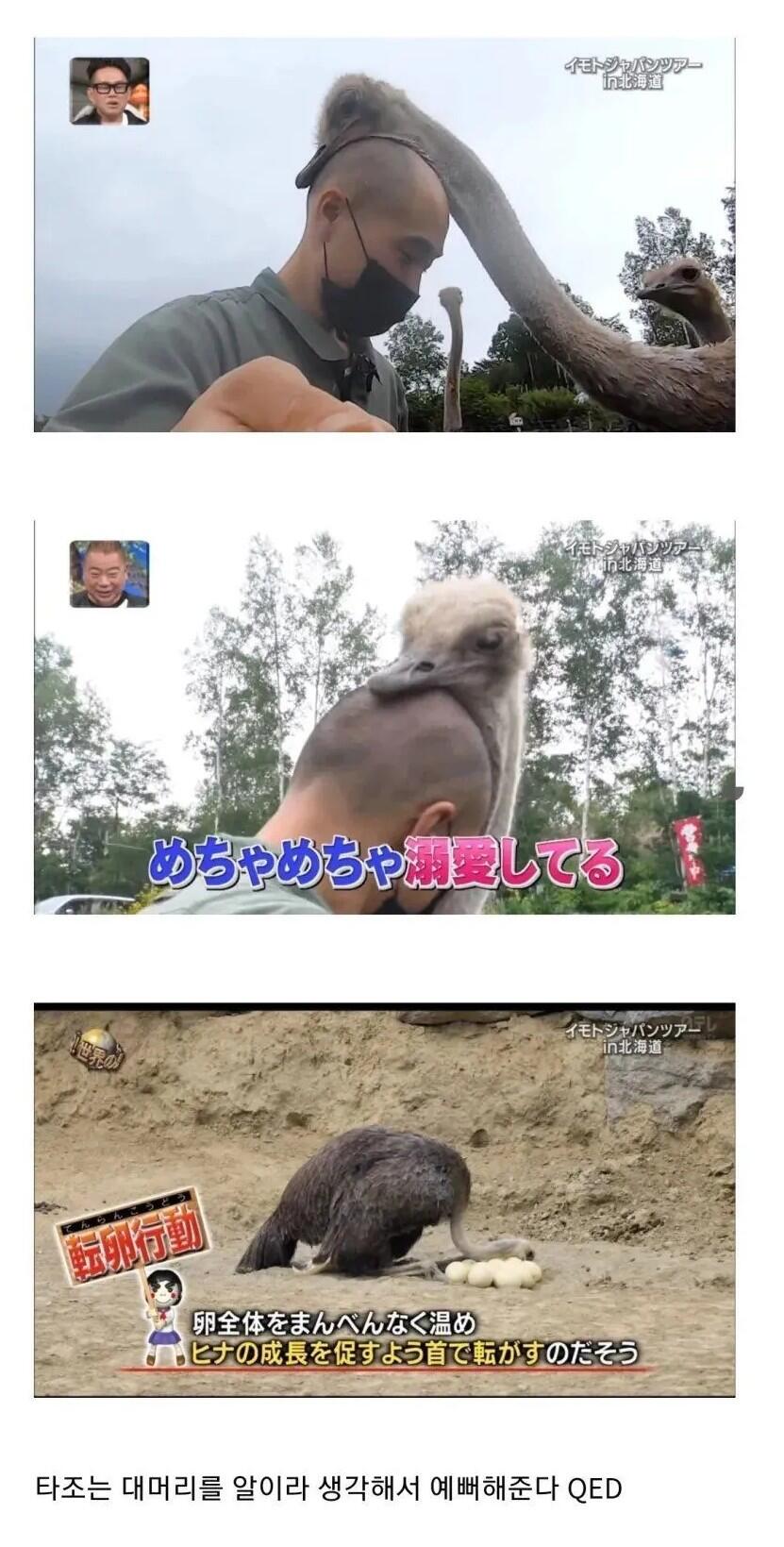 대머리의 장점